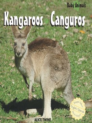 cover image of Kangaroos / Canguros